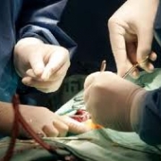 Мастер-класс по трансплантации почек у детей с методикой лапароскопического забора донорской почки